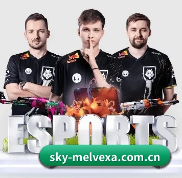 正式成立