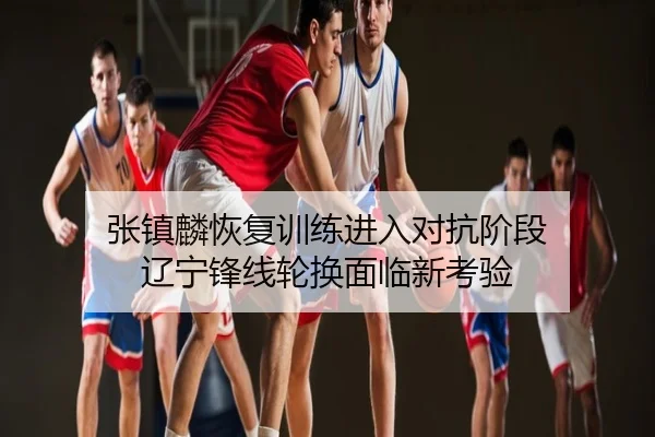 张镇麟恢复训练进入对抗阶段 辽宁锋线轮换面临新考验